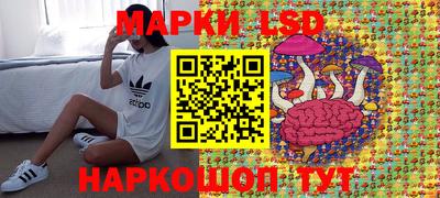 мдпв Гай