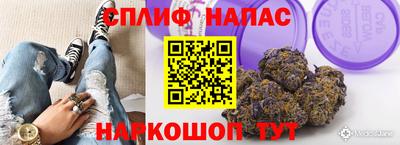 дурь Гатчина