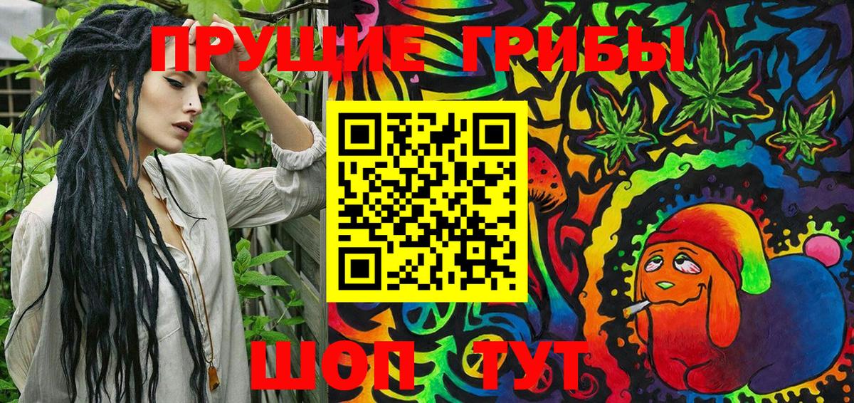 Псилоцибиновые грибы Psilocybe Верхний Уфалей